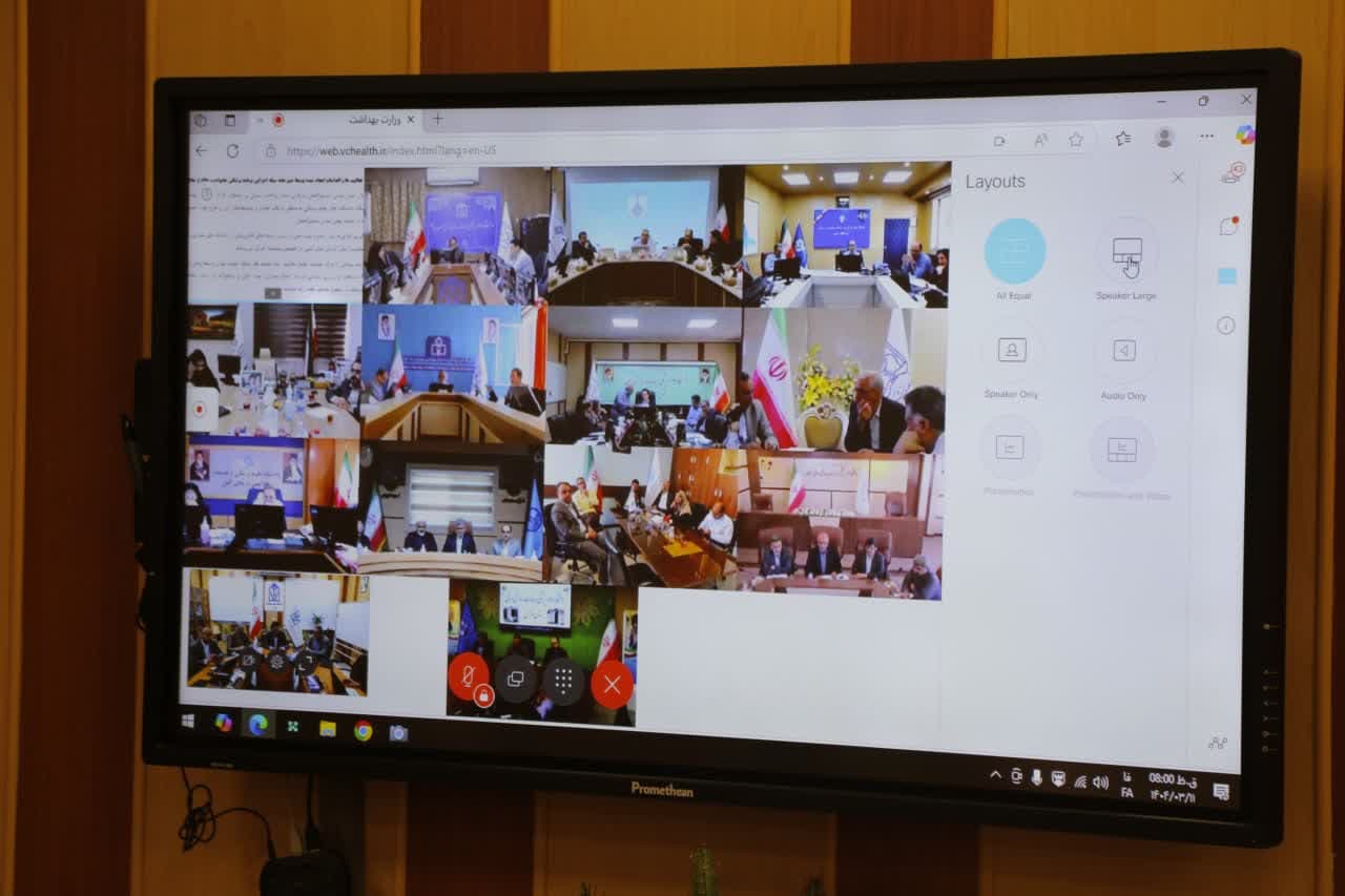 تاکید وزیر بهداشت بر اجرای برنامه پزشکی خانواده و نظام ارجاع در اجلاس وبیناری روسای دانشگاه‌های علوم پزشکی